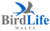 Bird Life Malta